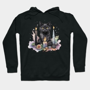 Witch's Familiar Hoodie